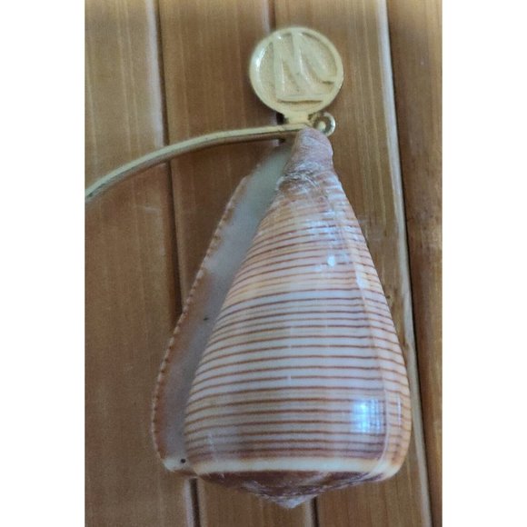 Brown Fig Cone Conus Figulinus Seashell Hanging Display Nautical Decor 3.5x3x1.5 - Picture 10 of 13